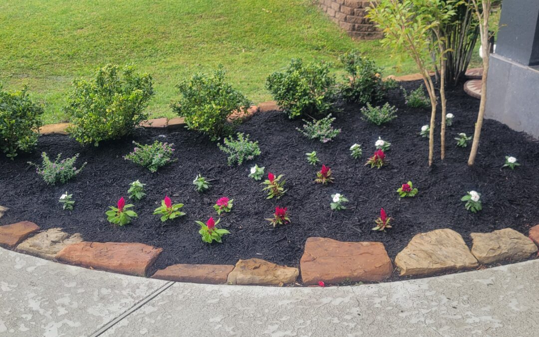 Landscaping 101: Key Terms Every Homeowners Should Know